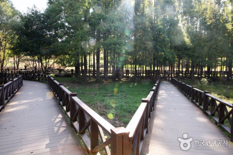光州湖 湖水生態園광주호 호수생태원 (20/20)