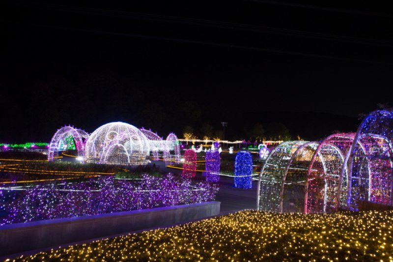 蔚山大公園玫瑰園星光慶典울산대공원 장미원 빛축제 (3/8)