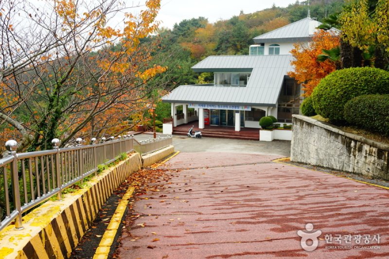 釜山廣域市金蓮青少年修煉院 (9/16)