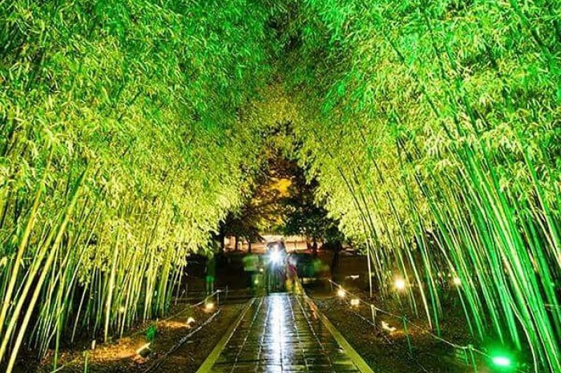 全州韓屋村慶基殿「與王散步」(전주 한옥마을 경기전 '왕과의 산책') (1/9)