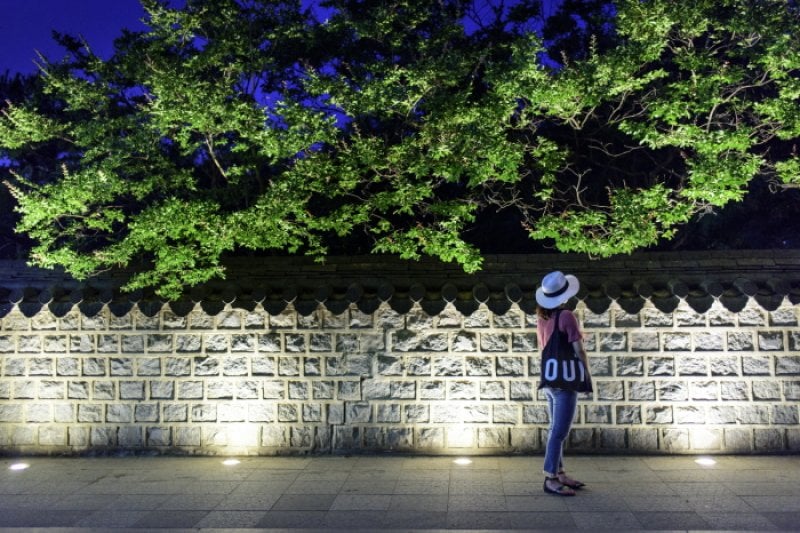 全州韓屋村慶基殿「與王散步」(전주 한옥마을 경기전 '왕과의 산책') (6/9)