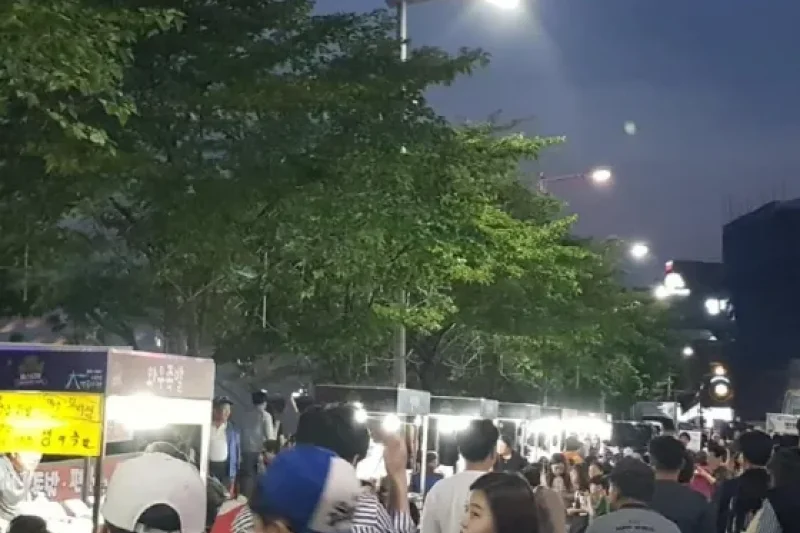 大田週六慶典(Totojeul Festival)(대전 토토즐페스티벌) (4/6)