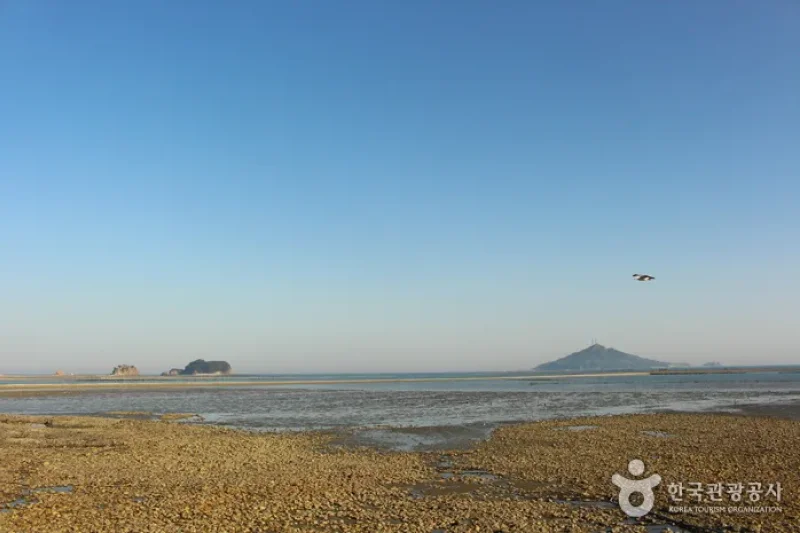 延平島 (22/34)