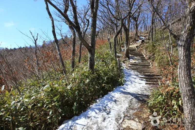 德裕山國立公園