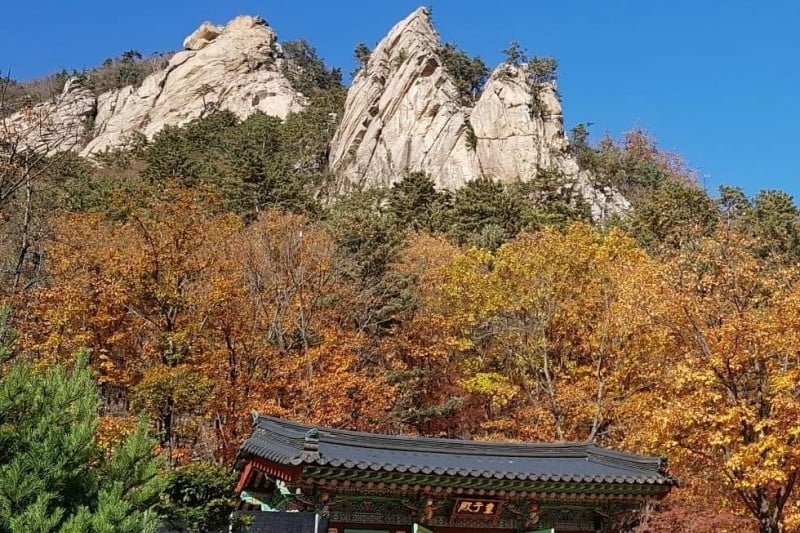 五歲庵 (1/4)