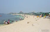 牛島珊瑚海邊