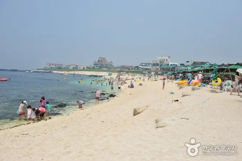 牛島珊瑚海邊 (1/4)