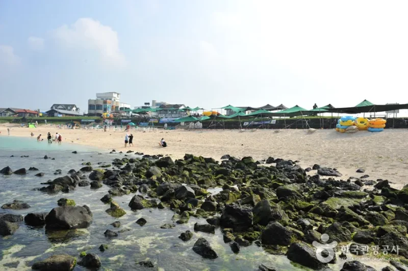 牛島珊瑚海邊 (2/4)