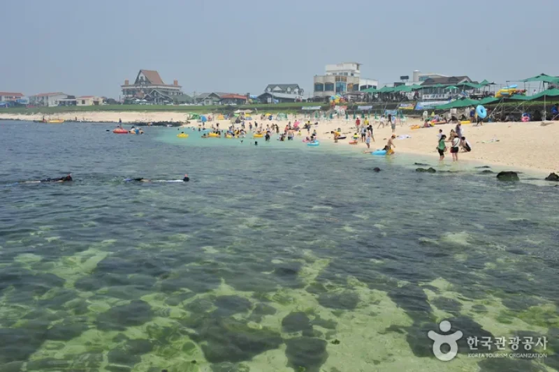 牛島珊瑚海邊 (3/4)