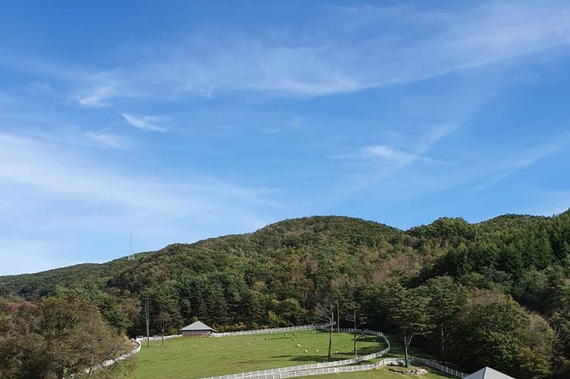 電影《歡迎來到東莫谷》拍攝地영화 [웰컴투 동막골] 촬영지 (2/6)