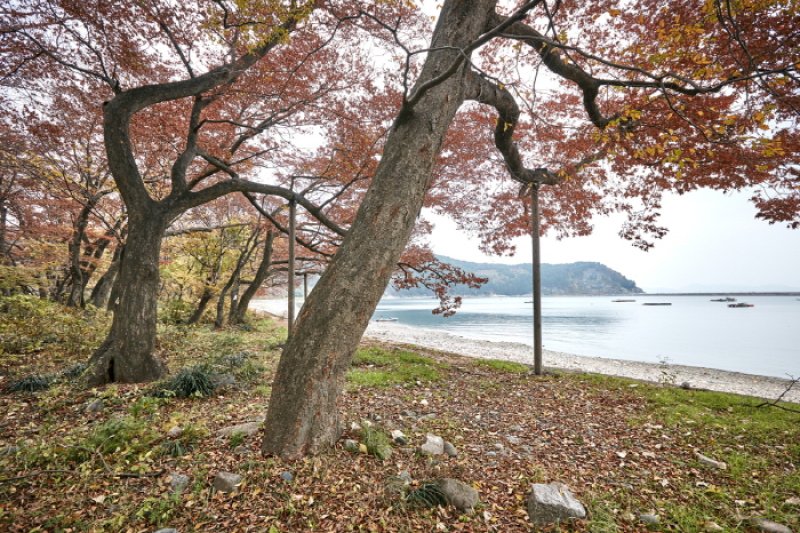 南海勿巾里防潮魚付林 (17/25)