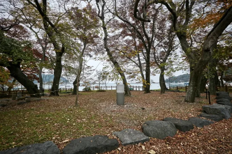 南海勿巾里防潮魚付林 (22/25)
