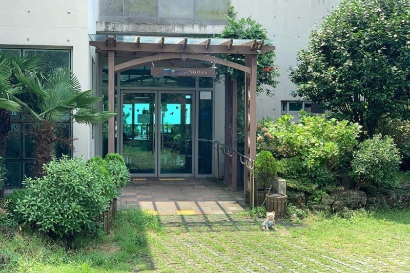 濟州生態套房（Jeju Eco Suites）[韓國觀光品質認證/Korea Quality]제주에코스위츠[한국관광 품질인증/Korea Quality] (1/11)