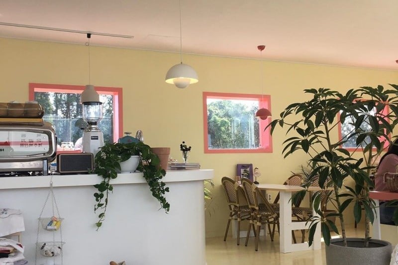 濟州生態套房（Jeju Eco Suites）[韓國觀光品質認證/Korea Quality]제주에코스위츠[한국관광 품질인증/Korea Quality] (5/11)