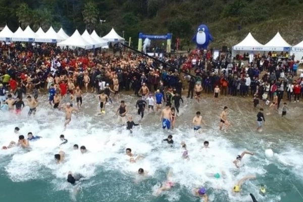 巨濟島國際企鵝冬泳大會
