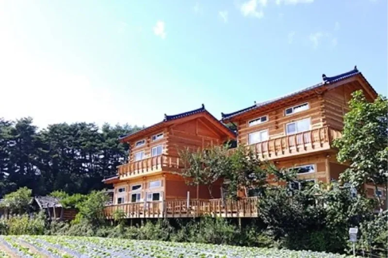 [韓屋住宿]休心渡假民宿 (8/10)