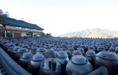 光陽青梅果農園