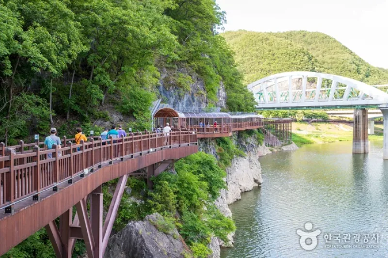 丹陽江棧道(단양강 잔도) (1/8)
