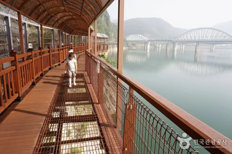 丹陽江棧道(단양강 잔도) (3/8)