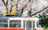 花郎臺鐵路公園(화랑대 철도공원)