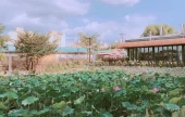 楓洞Anygol