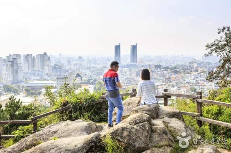 大洞天空公園(대동하늘공원) (15/16)