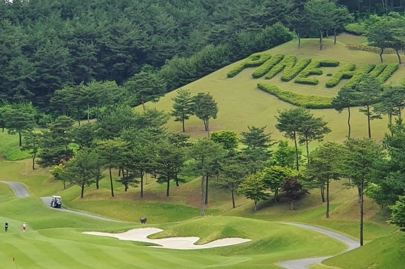 Pinehills鄉村俱樂部파인힐스 컨트리클럽 (1/6)