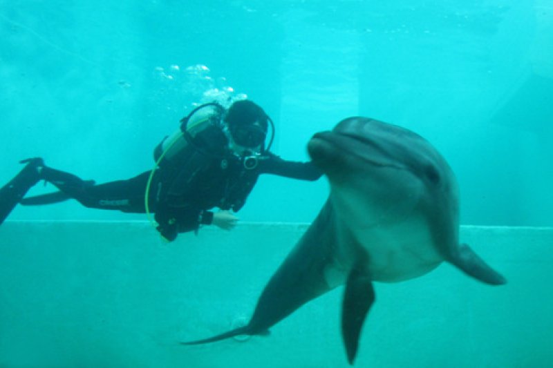海洋公園MarinePark (1/9)