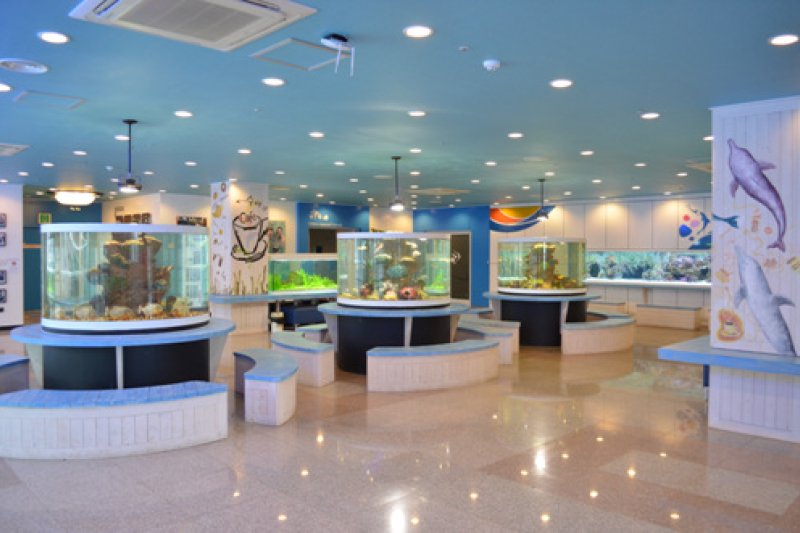 海洋公園MarinePark (3/9)