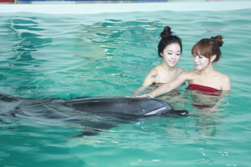 海洋公園MarinePark (6/9)