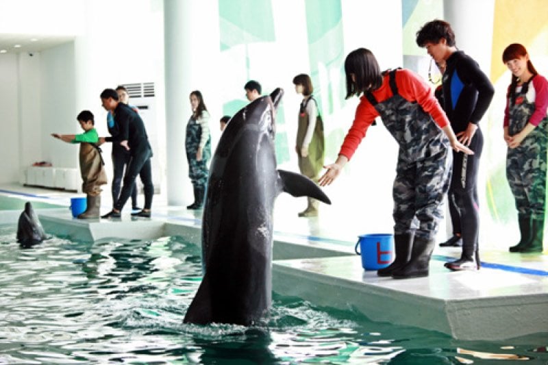 海洋公園MarinePark (7/9)