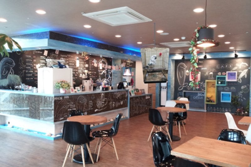 海洋公園MarinePark (9/9)