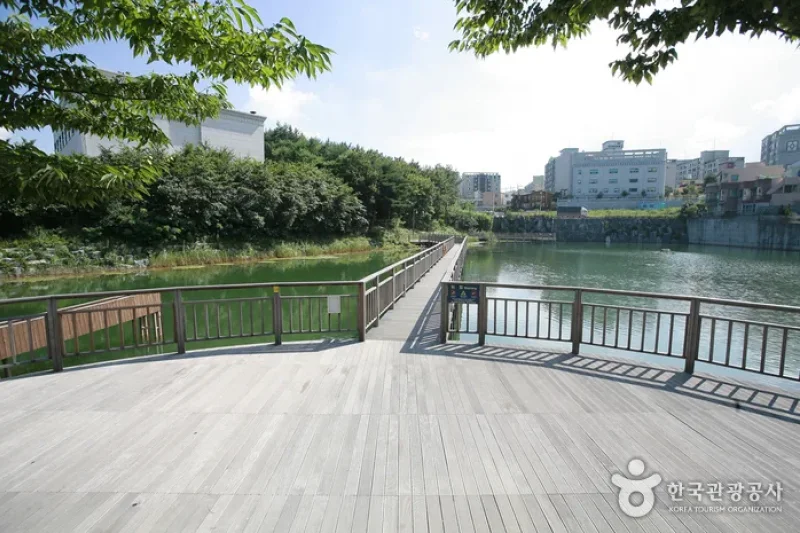 炭池生態公園 (1/8)