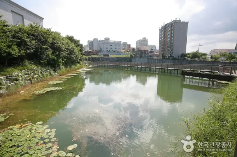 炭池生態公園 (2/8)