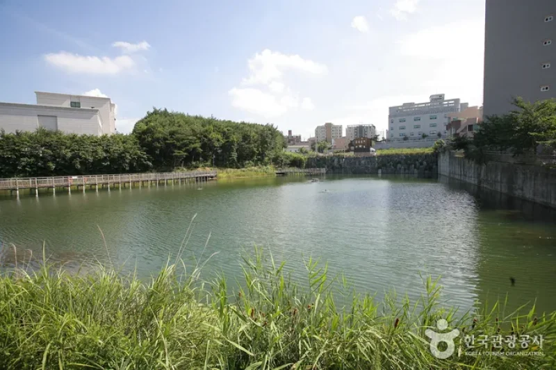 炭池生態公園 (3/8)