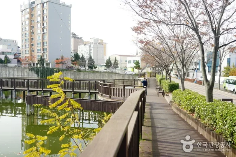 炭池生態公園 (5/8)