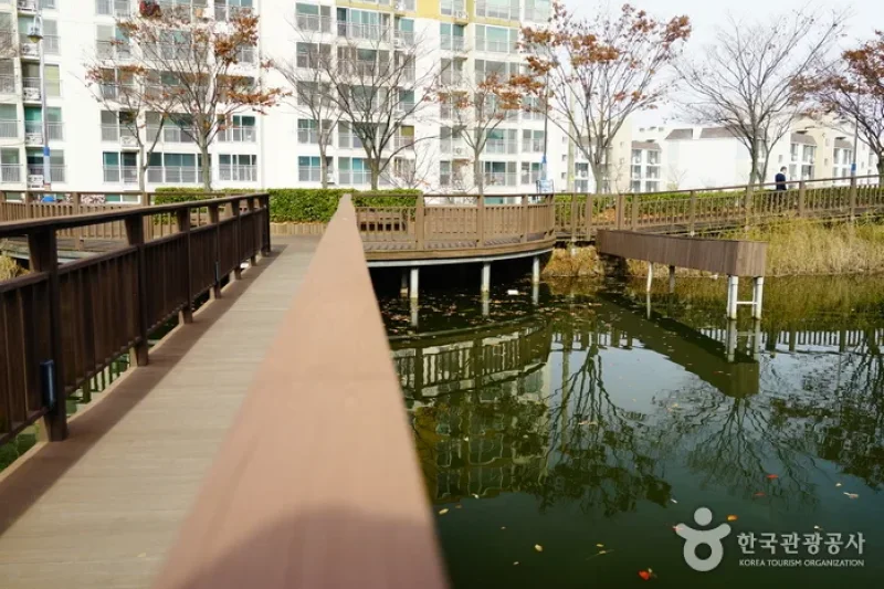 炭池生態公園 (6/8)