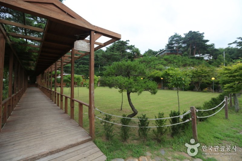 山脊 (2/6)