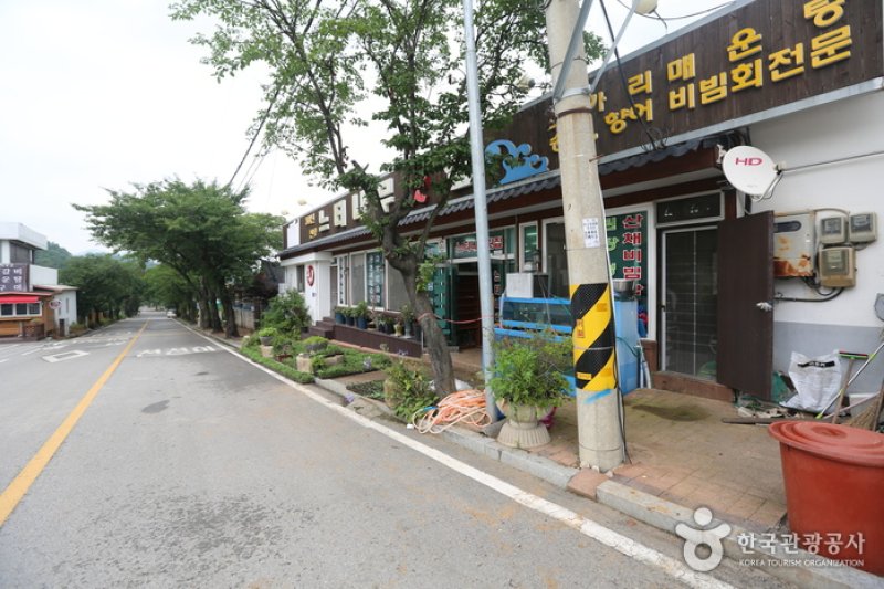 欅樹生魚片店