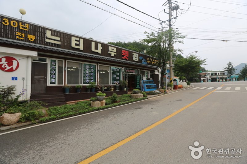 欅樹生魚片店