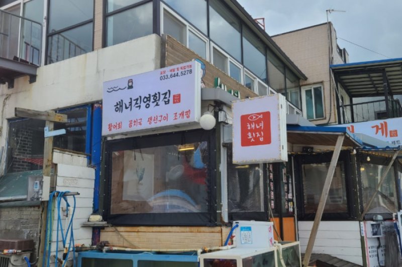 海女直營生魚片餐廳 (1/1)