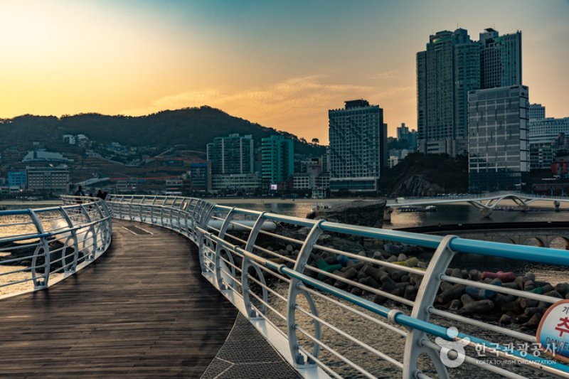 松島天空步道(송도 구름산책로(스카이워크))