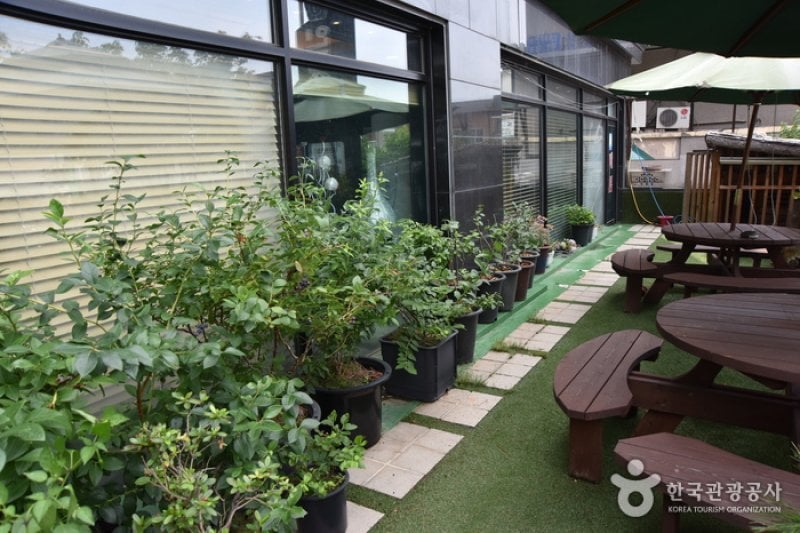 麟蹄飯店（INJE HOTEL） [韓國觀光品質認證/Korea Quality]인제호텔 (7/15)