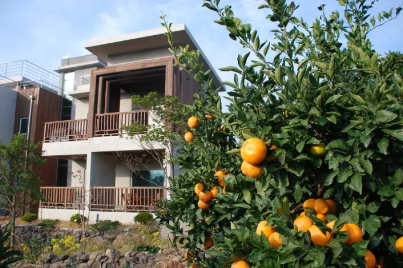 濟州生態套房（Jeju Eco Suites）[韓國觀光品質認證/Korea Quality]제주에코스위츠[한국관광 품질인증/Korea Quality] (7/11)