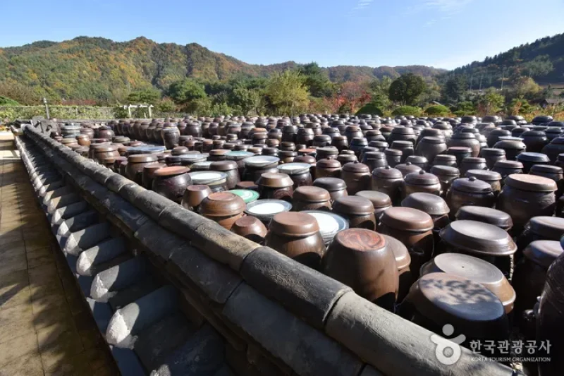 靜江園觀光農園[韓國觀光品質認證/Korea Quality]