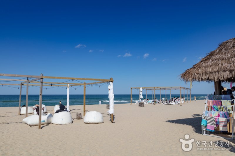 襄陽SURFYY BEACH (4/20)