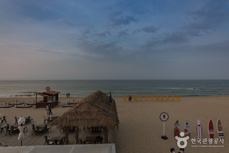 襄陽SURFYY BEACH (10/20)