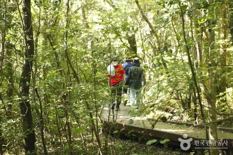 西歸浦療癒之林 (3/5)