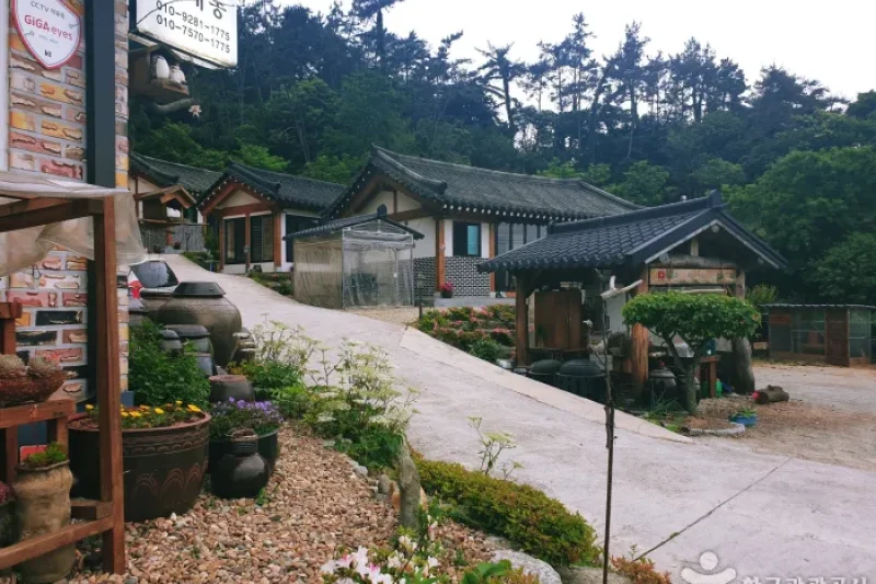 順天灣林 [韓國觀光品質認證/Korea Quality] 순천만숲 [한국관광 품질인증/Korea Quality]