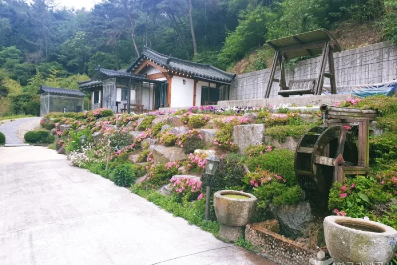 順天灣林 [韓國觀光品質認證/Korea Quality] 순천만숲 [한국관광 품질인증/Korea Quality]